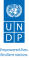 UNDP