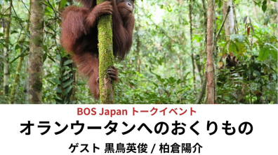 Borneo Orangutan Survival Japan｜BOS Japanジャパントークイベント『オランウータンへのおくりもの』（2025年12月6日㈯14:00～18:00）